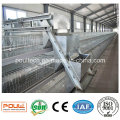 Automatic Pullet Cage Baby Chicken Cage